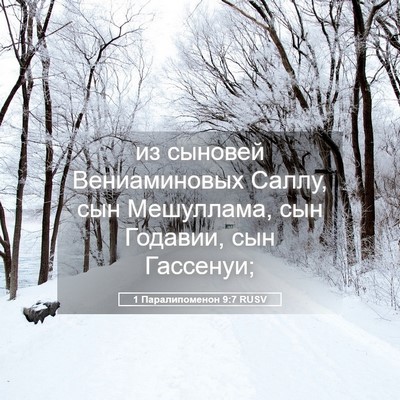 Picture 05 - 1 Паралипоменон 9:7 RUSV - из сыновей Вениаминовых - Bible Verse Picture