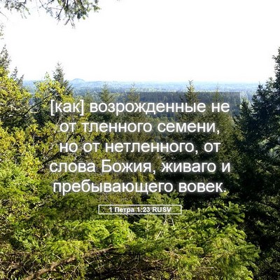 Picture 05 - 1 Петра 1:23 RUSV - [как] возрожденные не от - Bible Verse Picture