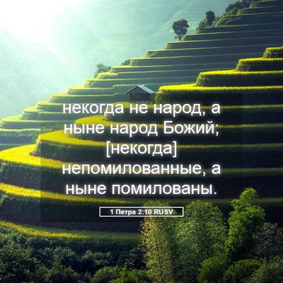 Picture 05 - 1 Петра 2:10 RUSV - некогда не народ, а ныне - Bible Verse Picture
