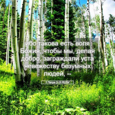 Picture 05 - 1 Петра 2:15 RUSV - ибо такова есть воля Божия, - Bible Verse Picture