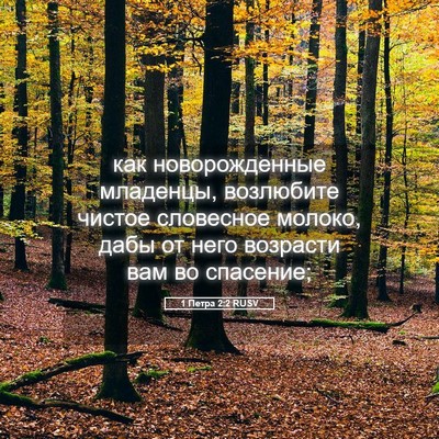 Picture 05 - 1 Петра 2:2 RUSV - как новорожденные - Bible Verse Picture