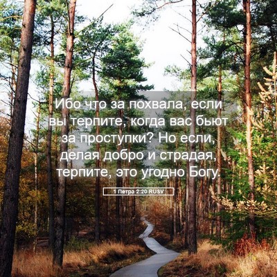 Picture 05 - 1 Петра 2:20 RUSV - Ибо что за похвала, если вы - Bible Verse Picture