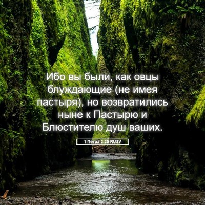 Picture 05 - 1 Петра 2:25 RUSV - Ибо вы были, как овцы - Bible Verse Picture