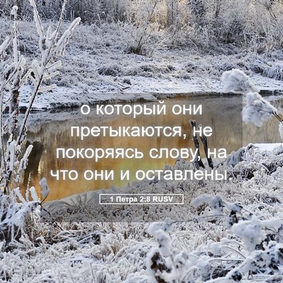 Picture 05 - 1 Петра 2:8 RUSV - о который они претыкаются, - Bible Verse Picture