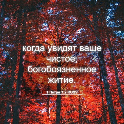 Picture 05 - 1 Петра 3:2 RUSV - когда увидят ваше чистое, - Bible Verse Picture