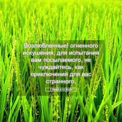 Picture 05 - 1 Петра 4:12 RUSV - Возлюбленные! огненного - Bible Verse Picture