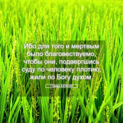 Picture 05 - 1 Петра 4:6 RUSV - Ибо для того и мертвым было - Bible Verse Picture