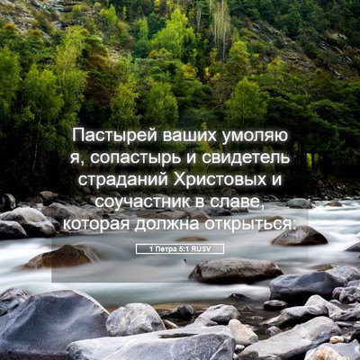 Picture 05 - 1 Петра 5:1 RUSV - Пастырей ваших умоляю я, - Bible Verse Picture