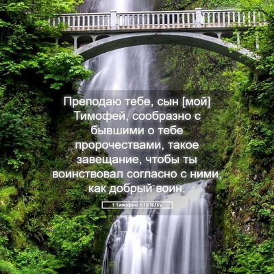 Picture 05 - 1 Тимофею 1:18 RUSV - Преподаю тебе, сын [мой] - Bible Verse Picture