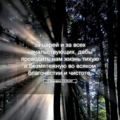 Picture 05 - 1 Тимофею 2:2 RUSV - за царей и за всех - Bible Verse Picture