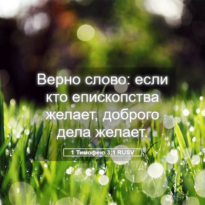 Picture 05 - 1 Тимофею 3:1 RUSV - Верно слово: если кто - Bible Verse Picture