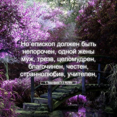 Picture 05 - 1 Тимофею 3:2 RUSV - Но епископ должен быть - Bible Verse Picture