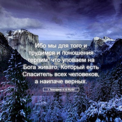 Picture 05 - 1 Тимофею 4:10 RUSV - Ибо мы для того и трудимся - Bible Verse Picture