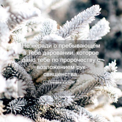 Picture 05 - 1 Тимофею 4:14 RUSV - Не неради о пребывающем в - Bible Verse Picture