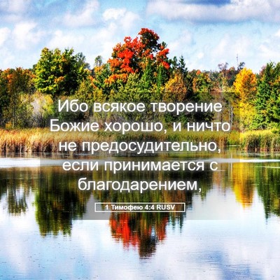 Picture 05 - 1 Тимофею 4:4 RUSV - Ибо всякое творение Божие - Bible Verse Picture