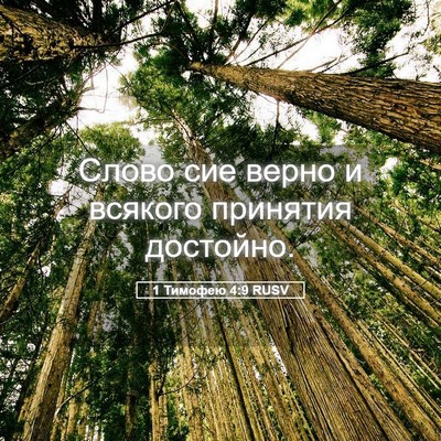 Picture 05 - 1 Тимофею 4:9 RUSV - Слово сие верно и всякого - Bible Verse Picture