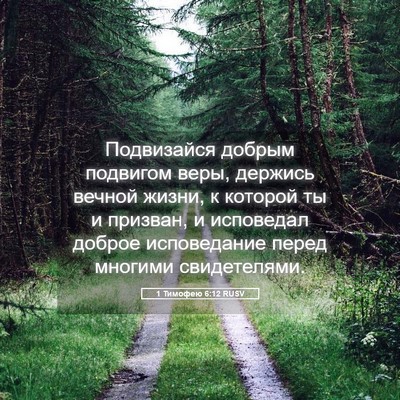 Picture 05 - 1 Тимофею 6:12 RUSV - Подвизайся добрым - Bible Verse Picture
