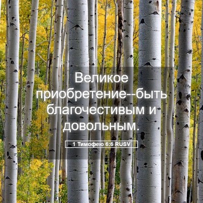 Picture 05 - 1 Тимофею 6:6 RUSV - Великое приобретение--быть - Bible Verse Picture