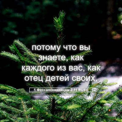 Picture 05 - 1 Фессалоникийцам 2:11 RUSV - потому что вы знаете, как - Bible Verse Picture