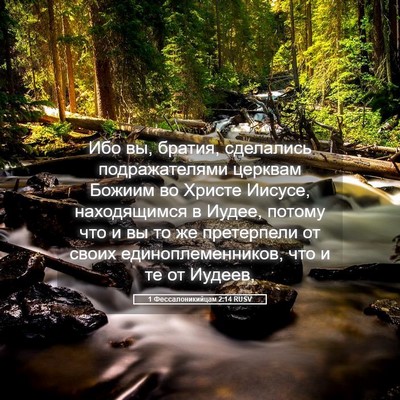 Picture 05 - 1 Фессалоникийцам 2:14 RUSV - Ибо вы, братия, сделались - Bible Verse Picture