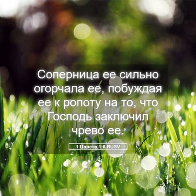 Picture 05 - 1 Царств 1:6 RUSV - Соперница ее сильно - Bible Verse Picture