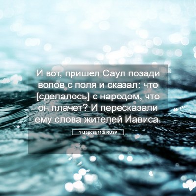 Picture 05 - 1 Царств 11:5 RUSV - И вот, пришел Саул позади - Bible Verse Picture