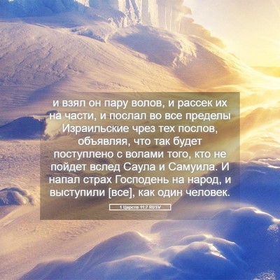 Picture 05 - 1 Царств 11:7 RUSV - и взял он пару волов, и - Bible Verse Picture