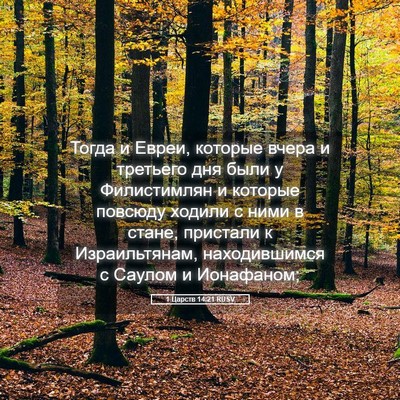 Picture 05 - 1 Царств 14:21 RUSV - Тогда и Евреи, которые - Bible Verse Picture