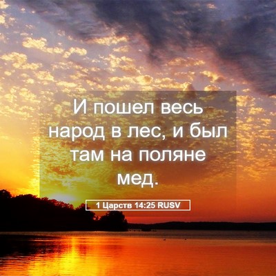 Picture 05 - 1 Царств 14:25 RUSV - И пошел весь народ в лес, и - Bible Verse Picture