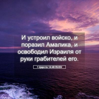 Picture 05 - 1 Царств 14:48 RUSV - И устроил войско, и поразил - Bible Verse Picture