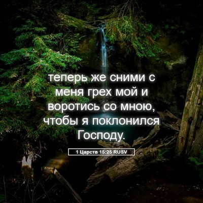 Picture 05 - 1 Царств 15:25 RUSV - теперь же сними с меня грех - Bible Verse Picture