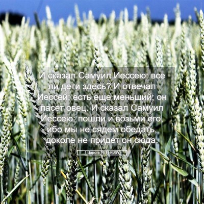 Picture 05 - 1 Царств 16:11 RUSV - И сказал Самуил Иессею: все - Bible Verse Picture