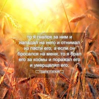 Picture 05 - 1 Царств 17:35 RUSV - то я гнался за ним и - Bible Verse Picture
