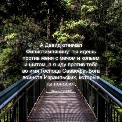 Picture 05 - 1 Царств 17:45 RUSV - А Давид отвечал - Bible Verse Picture