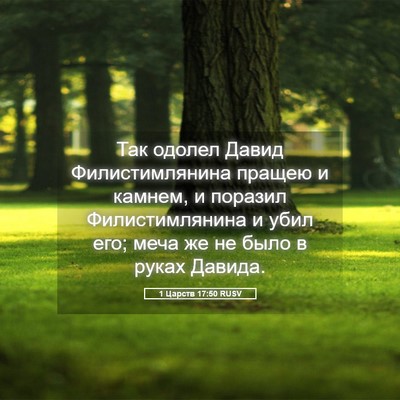 Picture 05 - 1 Царств 17:50 RUSV - Так одолел Давид - Bible Verse Picture