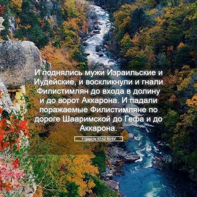 Picture 05 - 1 Царств 17:52 RUSV - И поднялись мужи - Bible Verse Picture