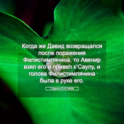 Picture 05 - 1 Царств 17:57 RUSV - Когда же Давид возвращался - Bible Verse Picture