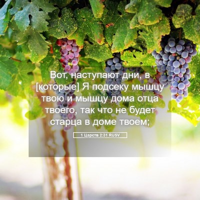 Picture 05 - 1 Царств 2:31 RUSV - Вот, наступают дни, в - Bible Verse Picture