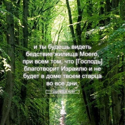 Picture 05 - 1 Царств 2:32 RUSV - и ты будешь видеть - Bible Verse Picture