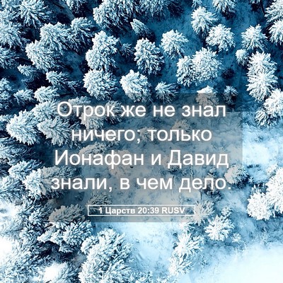 Picture 05 - 1 Царств 20:39 RUSV - Отрок же не знал ничего; - Bible Verse Picture