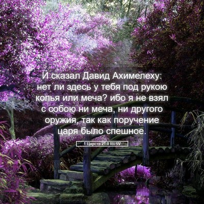 Picture 05 - 1 Царств 21:8 RUSV - И сказал Давид Ахимелеху: - Bible Verse Picture