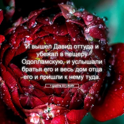 Picture 05 - 1 Царств 22:1 RUSV - И вышел Давид оттуда и - Bible Verse Picture
