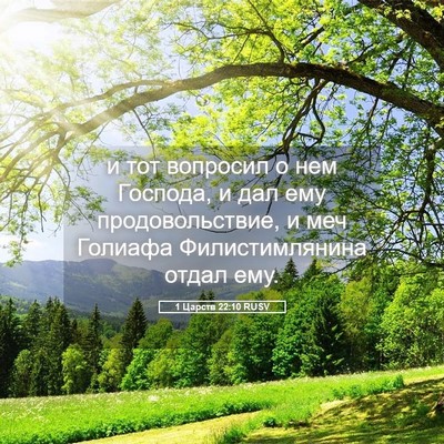 Picture 05 - 1 Царств 22:10 RUSV - и тот вопросил о нем - Bible Verse Picture