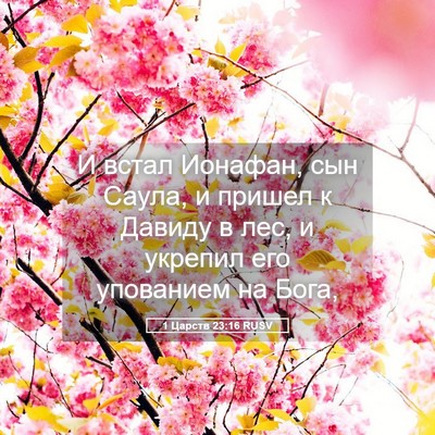 Picture 05 - 1 Царств 23:16 RUSV - И встал Ионафан, сын Саула, - Bible Verse Picture