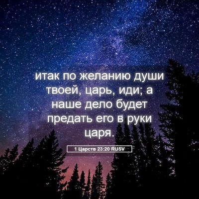 Picture 05 - 1 Царств 23:20 RUSV - итак по желанию души твоей, - Bible Verse Picture