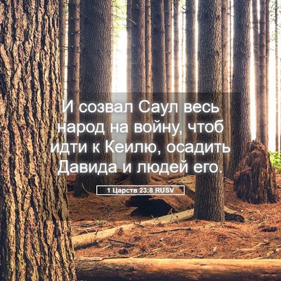 Picture 05 - 1 Царств 23:8 RUSV - И созвал Саул весь народ на - Bible Verse Picture