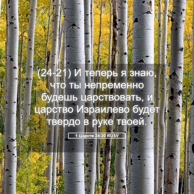 Picture 05 - 1 Царств 24:20 RUSV - (24-21) И теперь я знаю, что ты - Bible Verse Picture