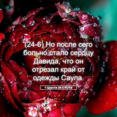 Picture 05 - 1 Царств 24:5 RUSV - (24-6) Но после сего больно - Bible Verse Picture