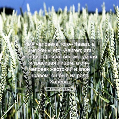 Picture 05 - 1 Царств 25:3 RUSV - Имя человека того--Навал, а - Bible Verse Picture