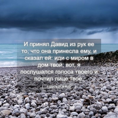 Picture 05 - 1 Царств 25:35 RUSV - И принял Давид из рук ее то, - Bible Verse Picture